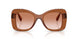 109573 - Brown - Gradient Brown