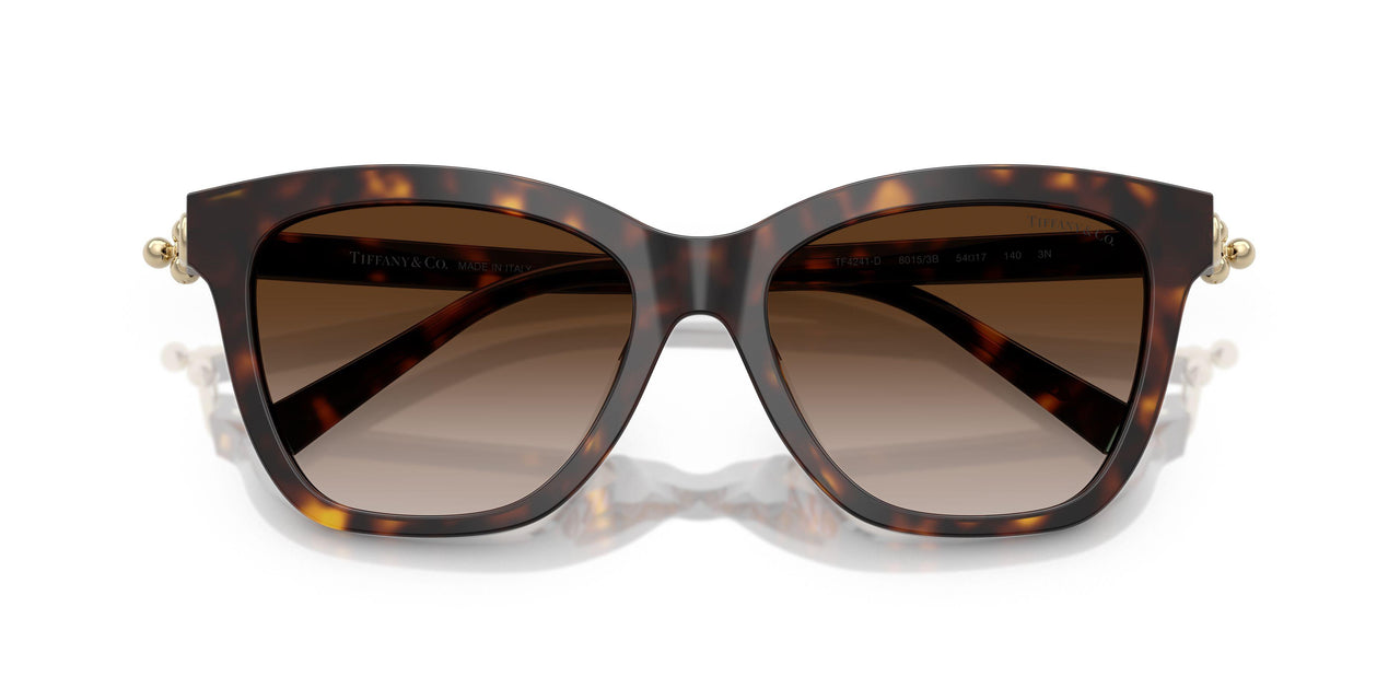 80153B - Tortoise - Brown Gradient
