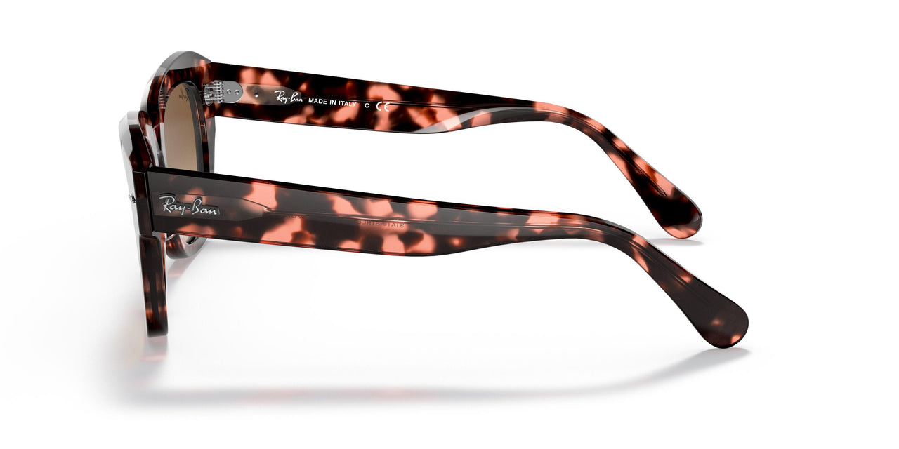 133451 - Havana - Brown Gradient