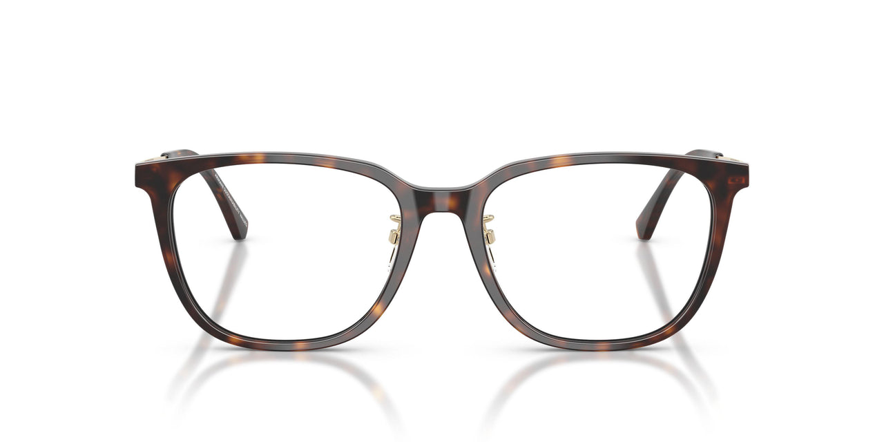 5026 - Tortoise