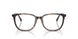 5026 - Tortoise