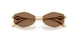 302373 - Gold - Dark Brown