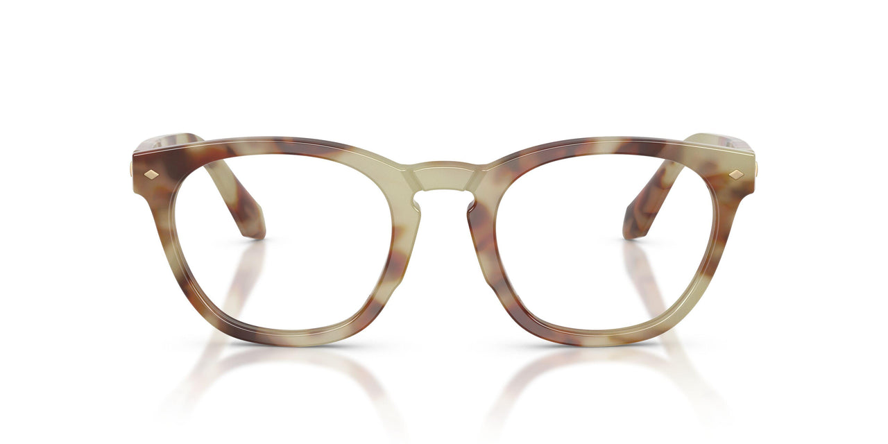 6299 - Tortoise