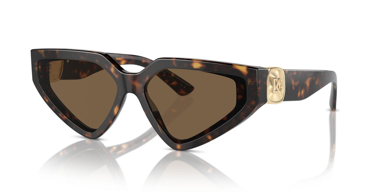 502/73 - Tortoise - Dark Brown