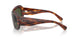 954/31 - Brown - Green