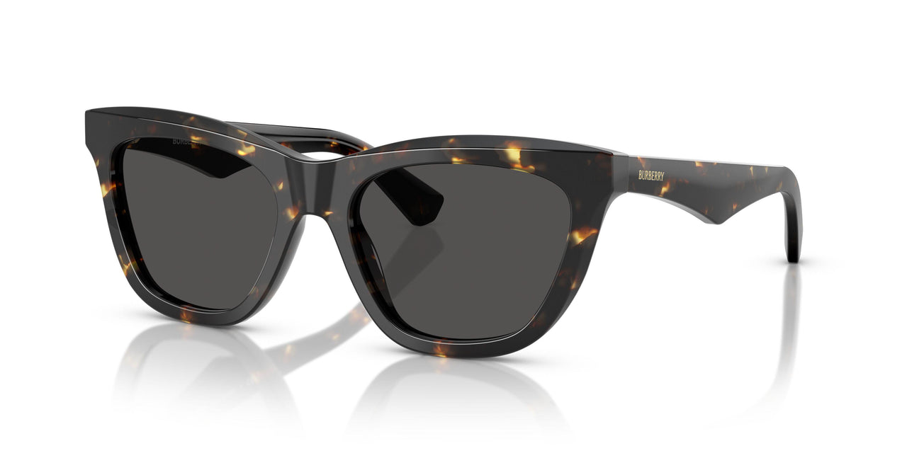 410687 - Tortoise - Dark Grey