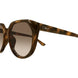 003 - Havana - Brown