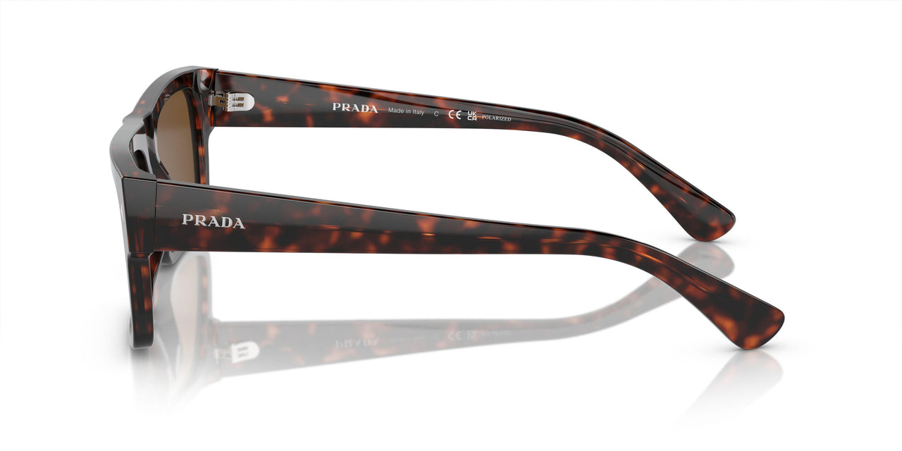 17N01D - Tortoise - Brown Polar