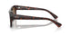 17N01D - Tortoise - Brown Polar