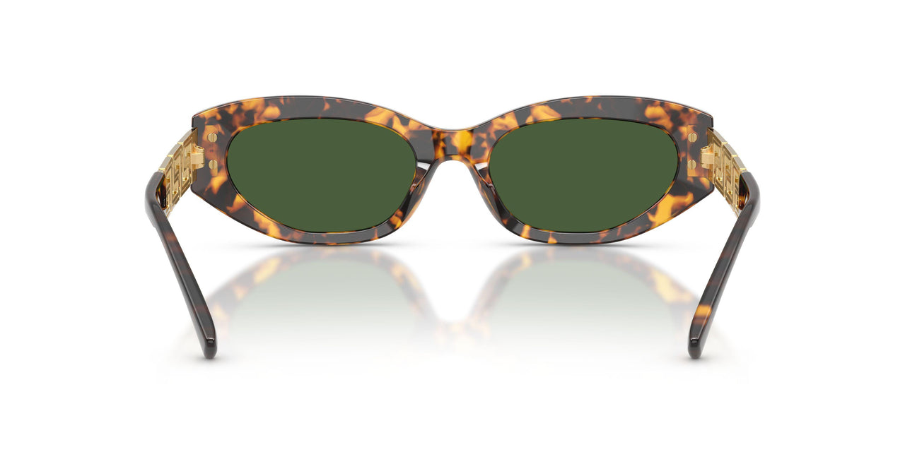 551471 - Tortoise - Dark Green
