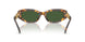551471 - Tortoise - Dark Green