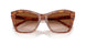 511413 - Brown - Brown Gradient