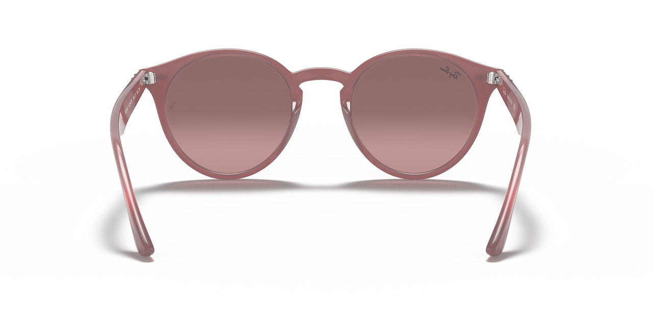 616613 - Turtledove - Brown Gradient