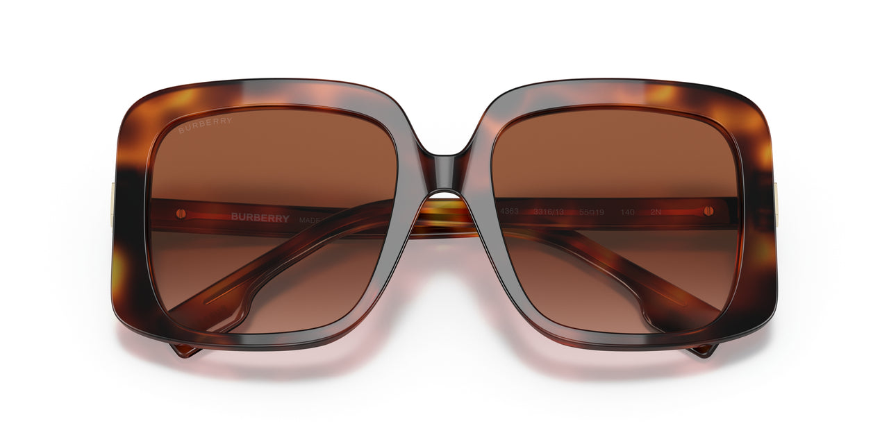 331613 - Havana - Brown Gradient