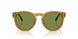 52754E - Tortoise - Solid Green