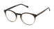 Ted Baker TM018 Eyeglasses
