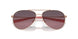 600319 - Pink - Rose Gradient