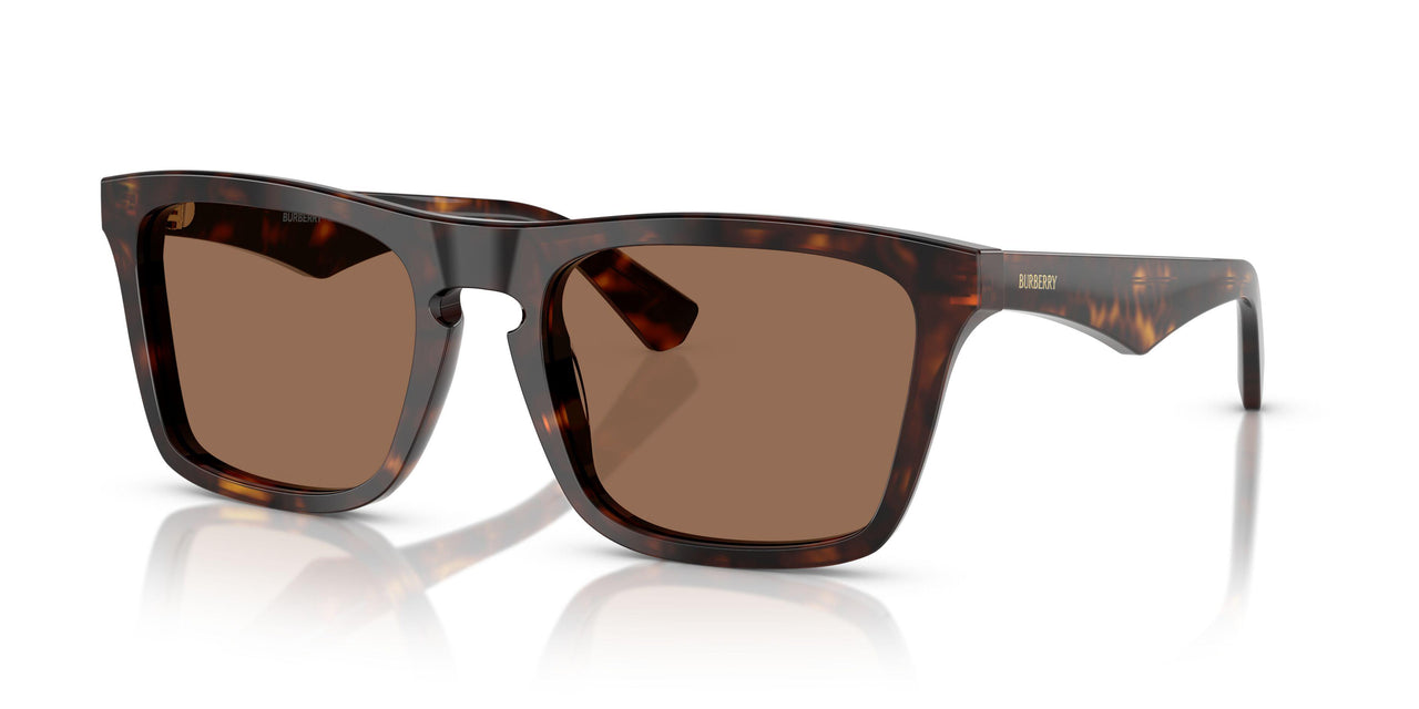 300273 - Brown - Dark Brown