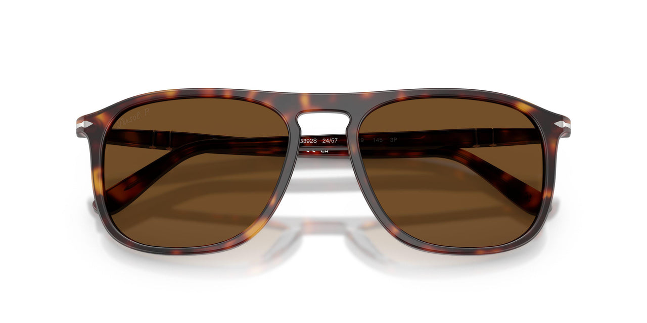 24/57 - Tortoise - Polar Brown