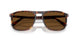 24/57 - Tortoise - Polar Brown