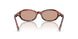 847873 - Tortoise - Brown
