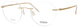 Modo 4633 Eyeglasses