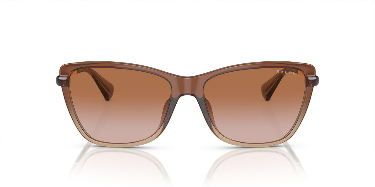 613313 - Brown - Gradient Brown
