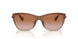 613313 - Brown - Gradient Brown