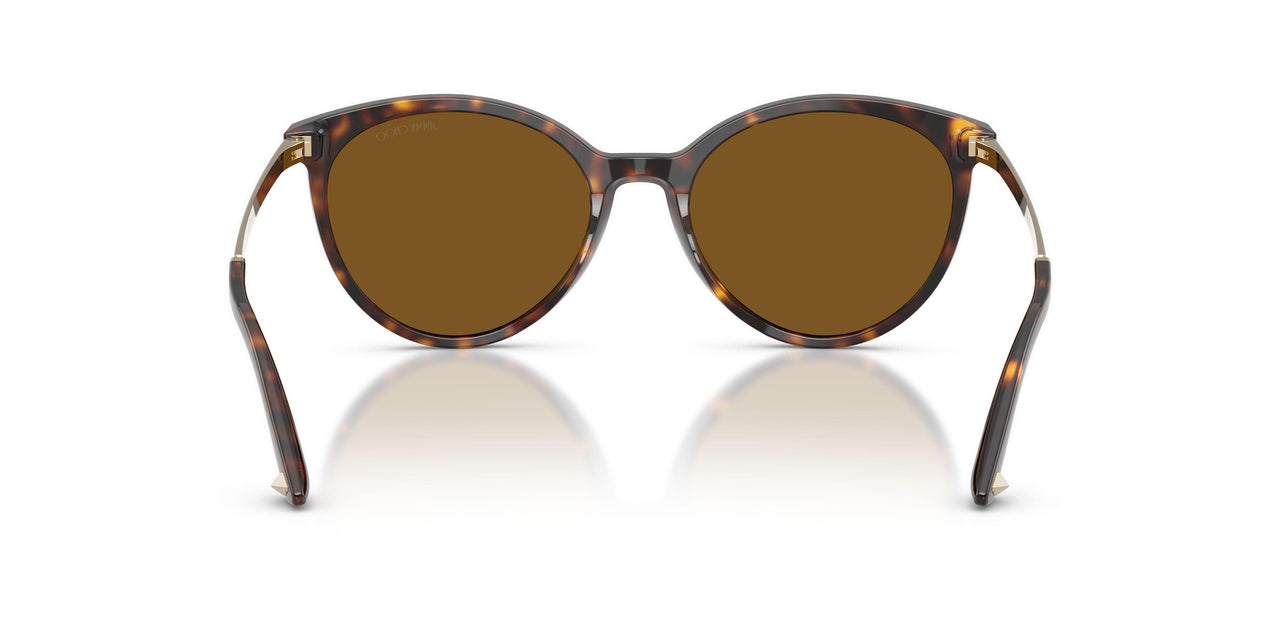 500283 - Tortoise - Dark Brown Polar