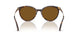 500283 - Tortoise - Dark Brown Polar