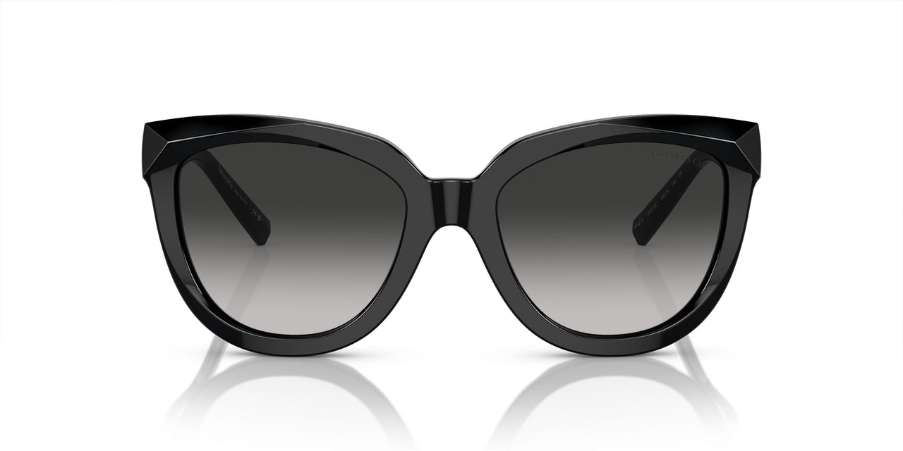 80013C - Black - Grey Gradient