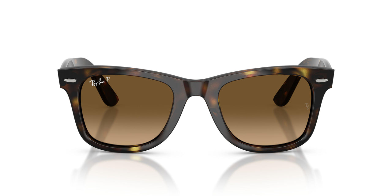 710/M2 - Tortoise - Polarized Brown Gradient