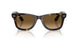 710/M2 - Tortoise - Polarized Brown Gradient