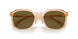 551883 - Brown - Dark Brown