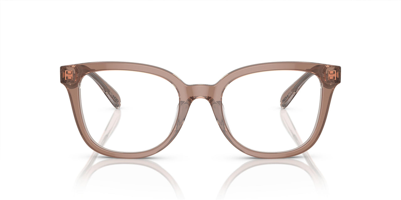5779 - Brown