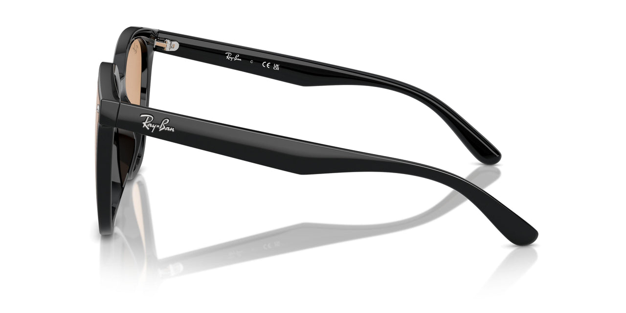 601/93 - Black - Brown
