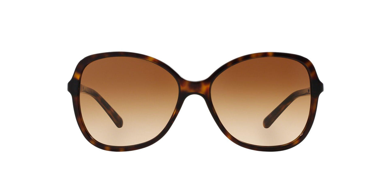 300213 - Havana - Brown Gradient
