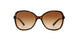 300213 - Havana - Brown Gradient