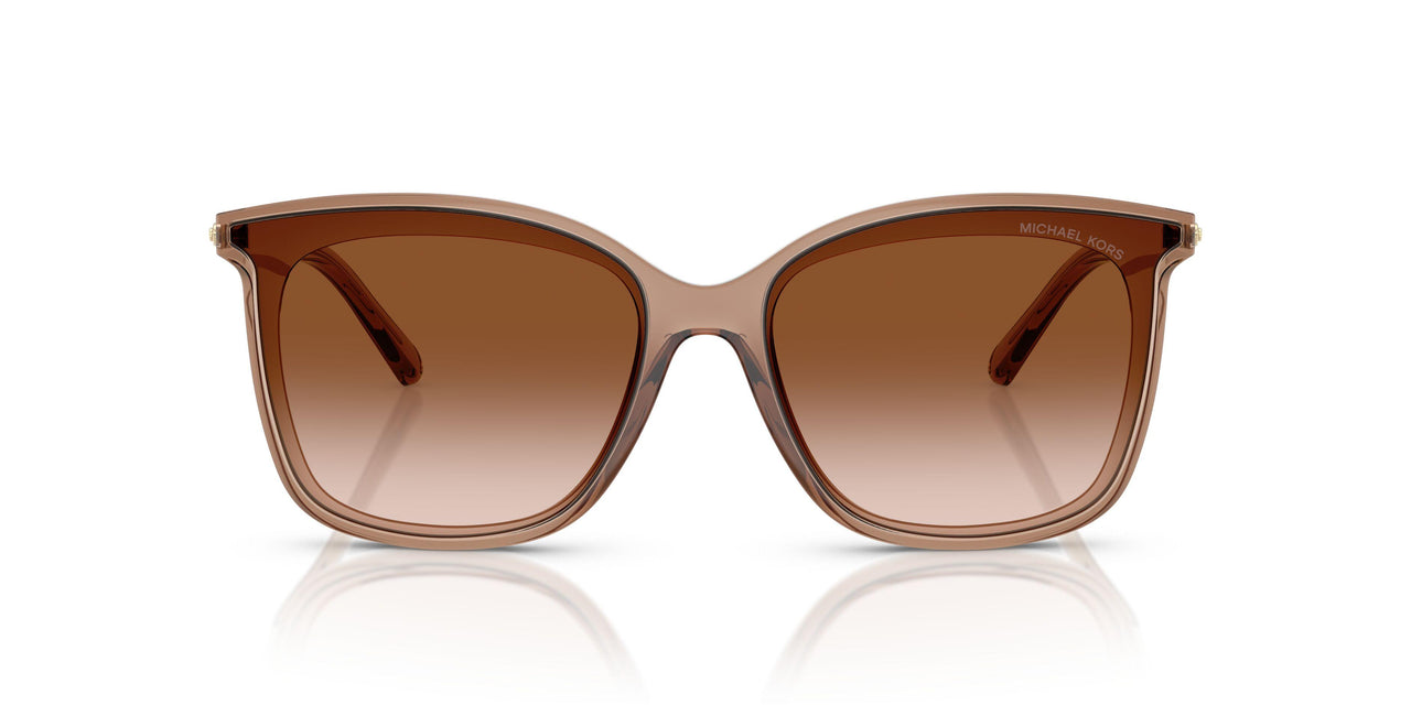 39383B - Brown - Brown Gradient