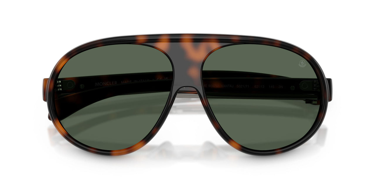 502171 - Tortoise - Dark Green Solid