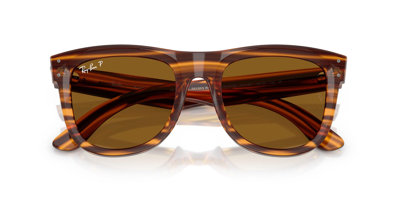679183 - Brown - Polar Dark Brown