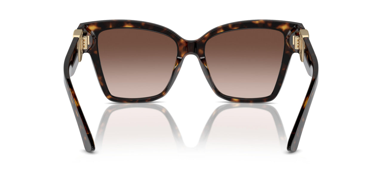 502/13 - Tortoise - Brown Gradient