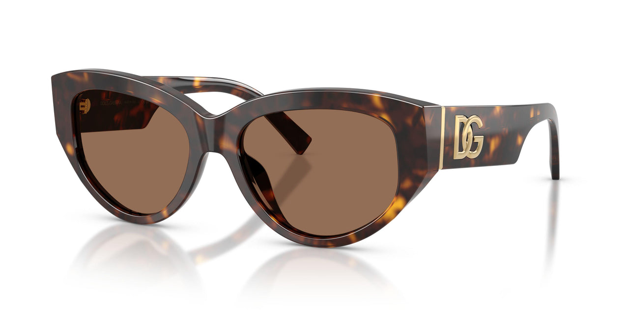 502/73 - Tortoise - Dark Brown