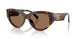 502/73 - Tortoise - Dark Brown