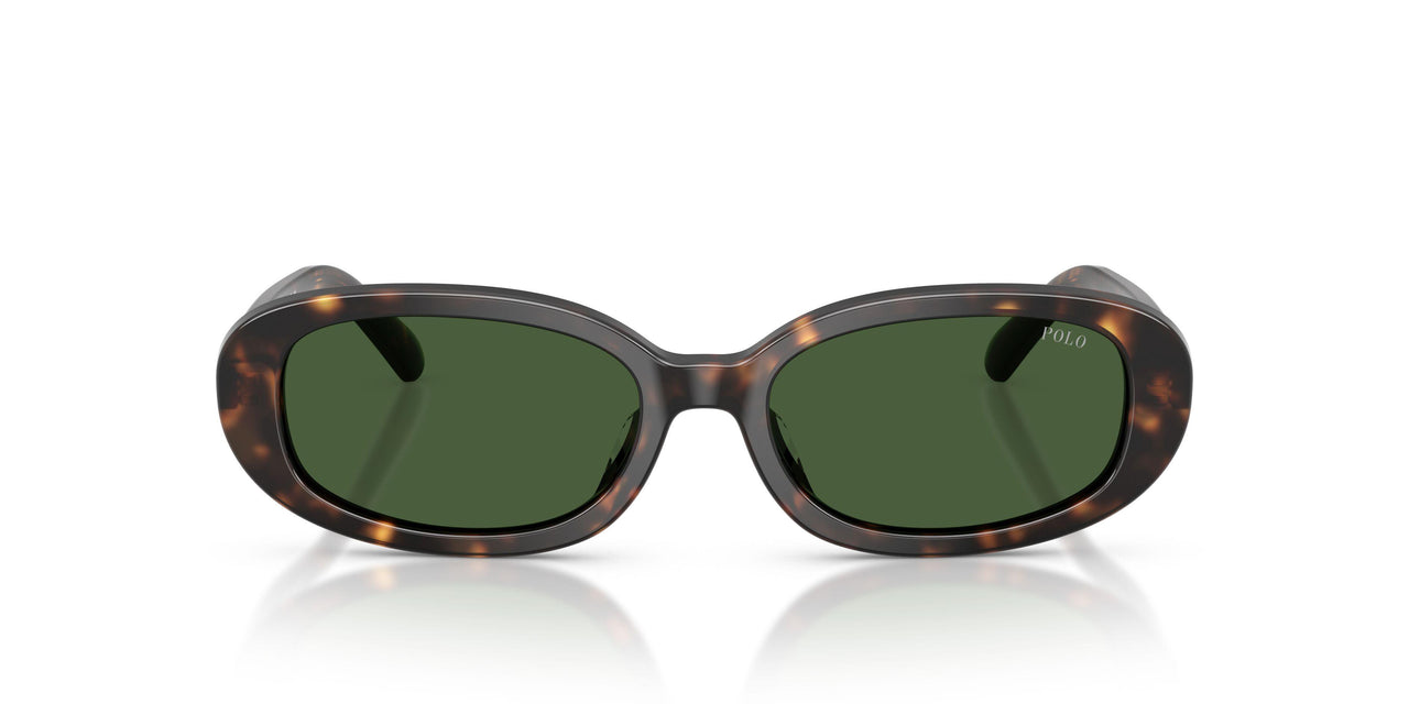500371 - Tortoise - Bottle Green