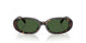 500371 - Tortoise - Bottle Green