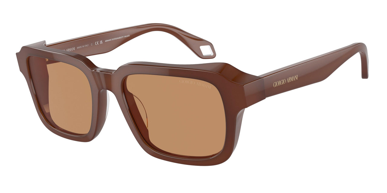 604253 - Blue - Brown