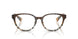 4202 - Brown