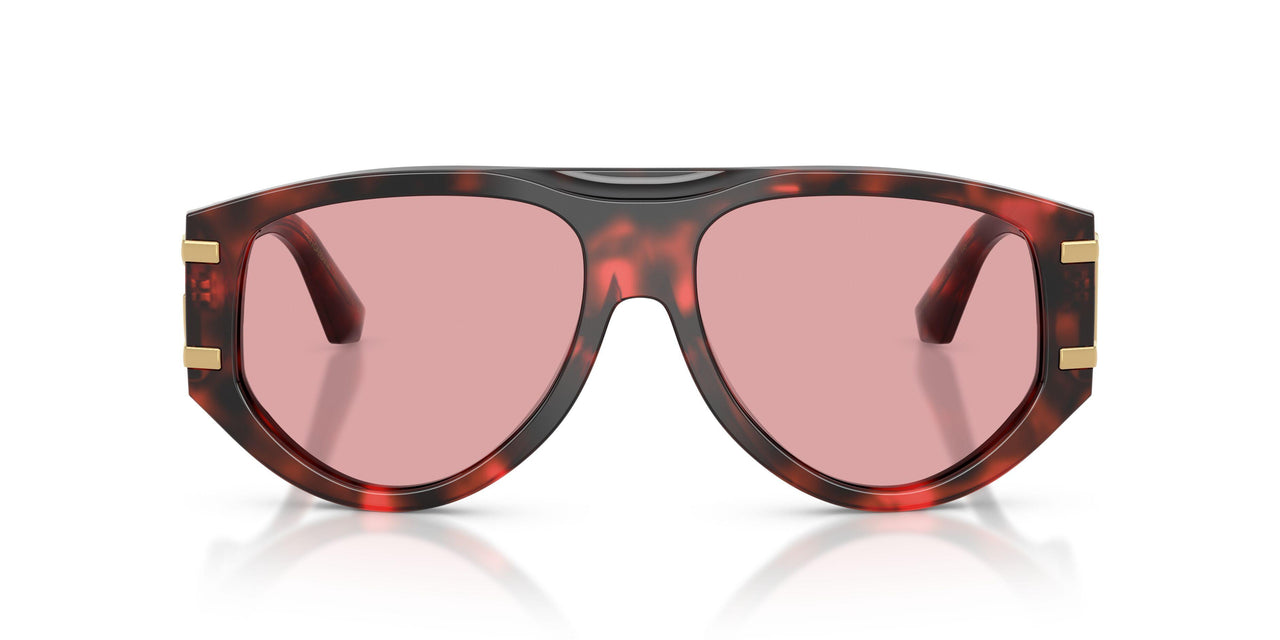 335884 - Tortoise - Light Violet