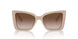 501113 - Beige - Gradient Brown